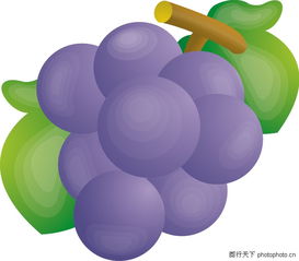 水果圖鑒 從果樹到餐桌的繽紛世界